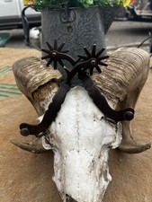 Unmarked buermann spurs for sale  Belen