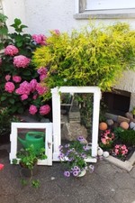 Fenster historisch pitch gebraucht kaufen  Menden (Sauerland)