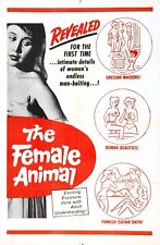 animale feminino comprar usado animale feminino comprar usado Enviando para Brazil