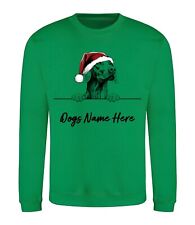 Vizsla personalised christmas for sale  PONTYPRIDD