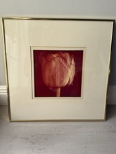 Greg copeland framed for sale  Boca Raton
