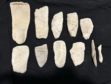 Indian arrowhead collection for sale  Naples