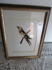 Tableaux ailes papillons d'occasion  Haguenau