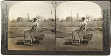 Keystone stereoview making for sale  Norwalk