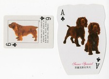 Sussex spaniel collection for sale  COLEFORD