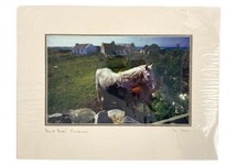 Signed vintage matted for sale  Mcminnville