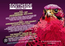 Southside festival 2025 gebraucht kaufen  Kelsterbach