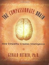 The compassionate brain gebraucht kaufen  Berlin