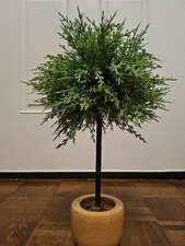 Artificial bonsai tree for sale  Peachtree City