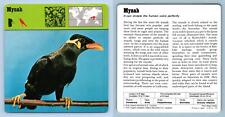 Mynah birds 1970 for sale  SLEAFORD