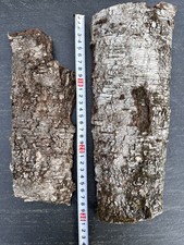 Birkenrinde baumrinde frühlin gebraucht kaufen  Dietersburg