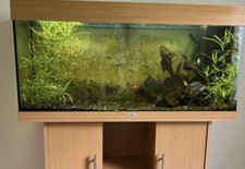Jewel vision 180 for sale  ST. NEOTS