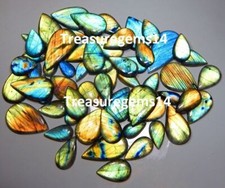 Labradorite 250 100 d'occasion  Expédié en France