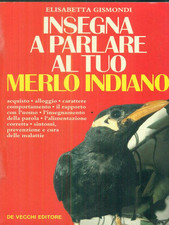 Insegna parlare tuo usato  Italia