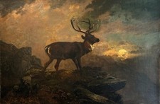 Clarence roe signed for sale  YORK