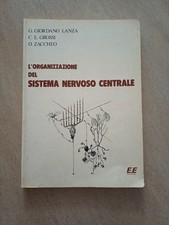 Organizzazione del sistema usato  Avellino