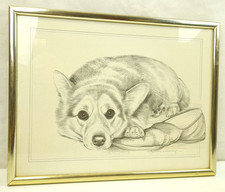 Pollyanna pickering dog for sale  KIDDERMINSTER
