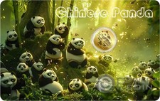 Panda cinese 1000 usato Panda cinese 1000 usato  Ciampino