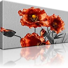 Mohnblume bild bilder gebraucht kaufen  Deutschland