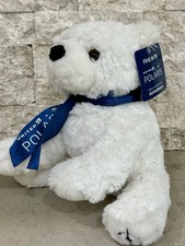 United airlines polaris for sale  Conroe