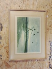 Wigeon beyond dunes for sale  HASTINGS