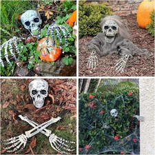 Halloween outdoor skeleton for sale Halloween outdoor skeleton for sale  LEEDS
