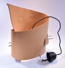 Skurrile designer deckenlampe gebraucht kaufen  Deutschland