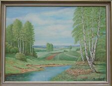 Del Norte de Alemania Paisaje Con Abedul & Río -ölgemälde Firmado W.Lorenz comprar usado Del Norte de Alemania Paisaje Con Abedul & Río -ölgemälde Firmado W.Lorenz comprar usado  Enviando para Brazil