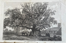 Antique print cowthorpe for sale  LLANELLI
