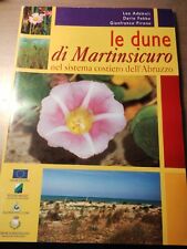 Dune martinsicuro nel usato  Villanova di Camposampiero
