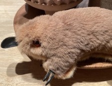 Vintage platypus real for sale  Hattiesburg