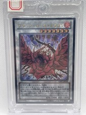 Drago rosa nera usato Drago rosa nera usato  Massa di Somma