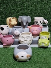 Succulent planter pots for sale  NORTHAMPTON