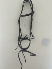 Stubben bridle horse for sale  AIRDRIE
