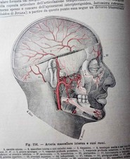 Vecchi libri medicina usato  Narni