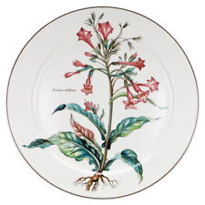 Kuchenplatte nicotiana tabacum gebraucht kaufen  Kappeln
