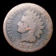 1877 indian cent for sale  Wheaton