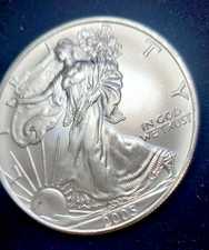 2005 silver eagle for sale  Edmonds