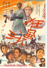 Wang yumrugun karete gebraucht kaufen Wang yumrugun karete gebraucht kaufen  Geislingen an der Steige