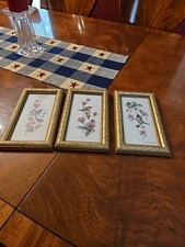 Hummingbirds carolyn shores for sale  Sanford