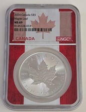 2024 canada maple for sale  Feeding Hills