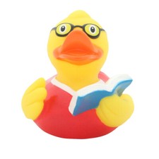 Lilalu livre canard d'occasion  Expédié en France