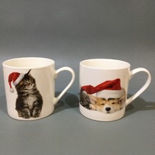 Debenhams fine china for sale  TAUNTON