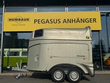 Humbaur pegasus pferdeanhänge gebraucht kaufen  Gevelsberg