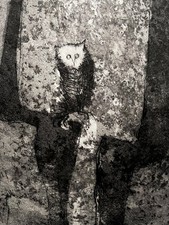 Nag arnoldi gufo usato  Arcisate