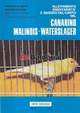 Canarino malinois waterslager usato  Vicenza