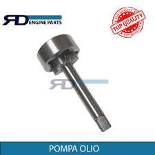 Pompa olio lombardini usato  Caltagirone