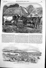 Old antique print for sale  UK