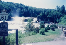 Middle falls pigeon d'occasion  Expédié en Belgium
