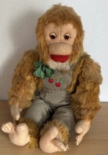 Großer alter affe gebraucht kaufen Großer alter affe gebraucht kaufen  Deutschland